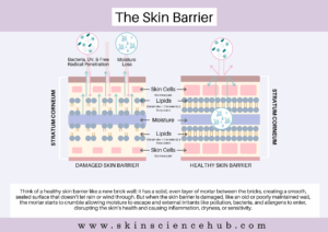 Exaggerated Skin Signs of Over Exfoliated Skin and How to Heal It