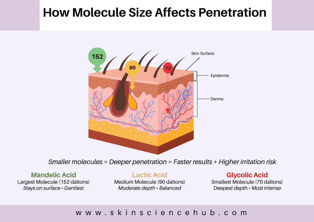 Diagram showing how glycolic acid's small molecules penetrate deeper than lactic or mandelic acid