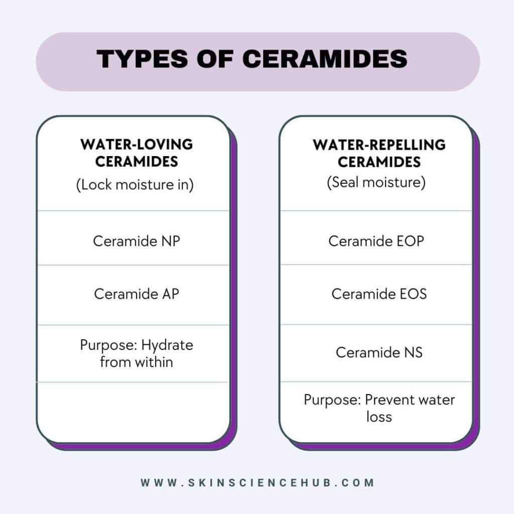 Types of ceramides for skin