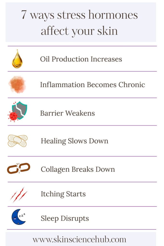 Infographic showing seven ways cortisol affects skin including increased oil production, chronic inflammation, weakened barrier, slowed healing, collagen breakdown, itching, and sleep disruption