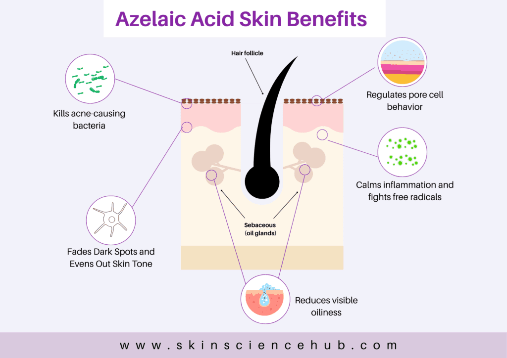 Azelaic acid Skin Benefits