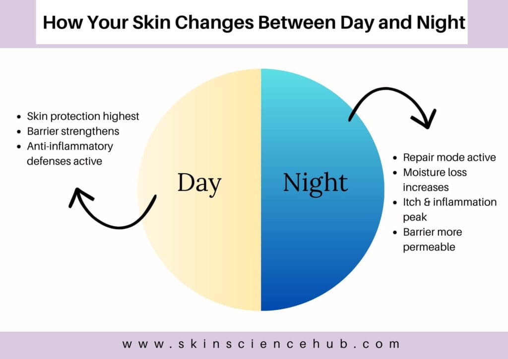 How your skin changes between day and night on the effect of sleep on skin